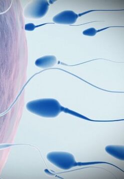 Spermogramma per bassa potenza
