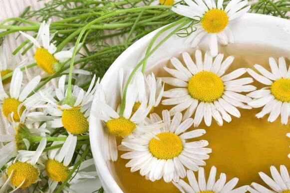 Decotto di camomilla per aumentare la potenza